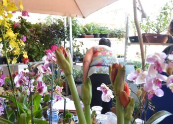 MEI tem até esta sexta-feira prazo para entregar declaração anual