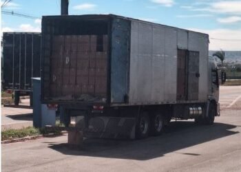 PRF apreende 8 milhões de maços de cigarros na Bahia