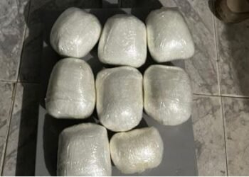 PRF apreende 7kg de cloridrato de cocaína com passageira na Bahia