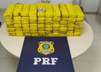 PRF apreende mais de 50kg de maconha na Bahia