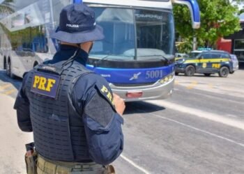 PRF resgata aves, cumpre mandado de prisão e apreende drogas na Bahia