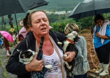 MP do Auxílio Reconstrução do Rio Grande do Sul entra em vigor
