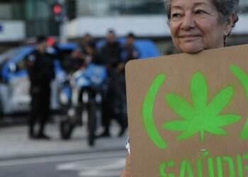 Anvisa defende manutenção de marco regulatório para cannabis medicinal