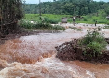 “Tragédia sem precedentes no campo”, dizem pequenos agricultores do RS