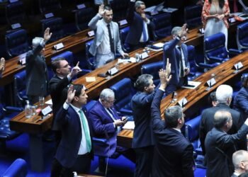 Senado aprova taxação de compras internacionais de até US$ 50