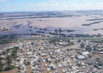 Hoje é Dia: Meio ambiente e oceanos marcam as celebrações da semana