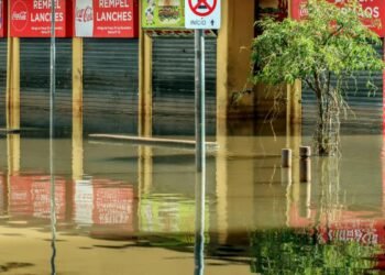 Sebrae lança programa para ajudar empresas vítimas da enchente no RS