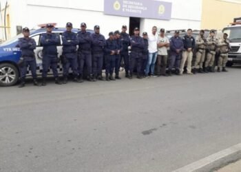 Forças policias fazem operação contra animais soltos na Bahia