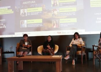 Mudanças climáticas: programa quer mobilizar 600 empresas até a COP30