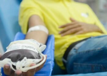 Hoje é Dia: semana marca doação de sangue, idosos e trabalho infantil