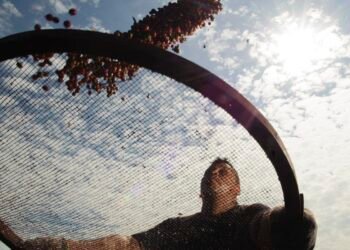 Brasil faz acordo com China que pode aumentar exportação de café