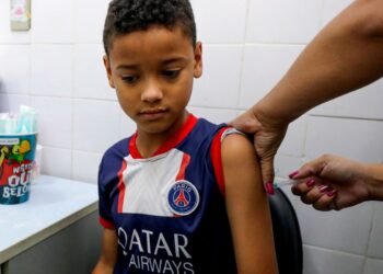 Dengue: Brasil aplicou 2 milhões de total de 4,7 milhões de doses