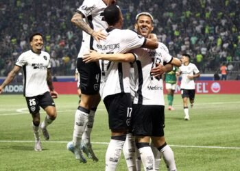 Botafogo segura empate com Palmeiras e avança na Copa Libertadores