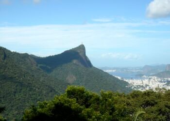 Número de incêndios florestais no Rio já aumentou 85% neste ano