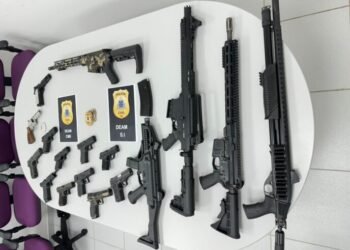 PC baiana apreende fuzis e mais armas de fogo com base na Lei Maria da Penha