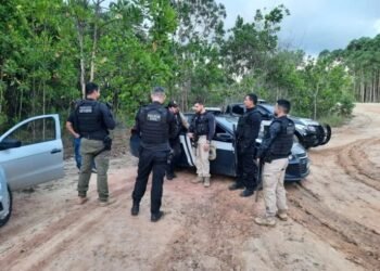 Polícia Civil baiana flagra empresário com 48 kg de drogas