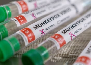 Mpox: Europa prevê mais casos de nova variante nas próximas semanas