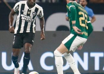 Botafogo recebe Palmeiras no primeiro jogo das oitavas da Libertadores