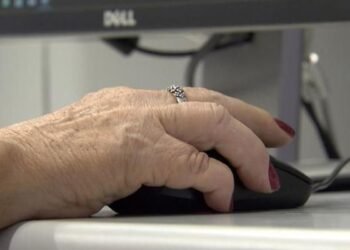 Uso de internet no país cresce mais entre idosos, mostra IBGE