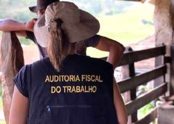 Operação federal resgata 593 pessoas submetidas a trabalho escravo