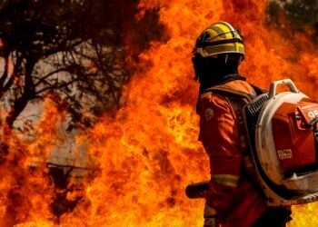 Bombeiros do DF apagam incêndio em área de nascente do Lago Paranoá