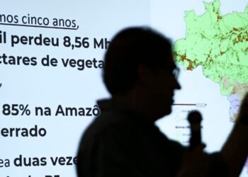 Brasil já perdeu 33% das áreas naturais de seu território