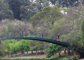 Hoje é Dia: Ibirapuera, Getúlio e Leminski são destaques da semana