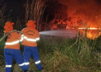Situação de emergência por incêndio florestal cresceu 354% em agosto