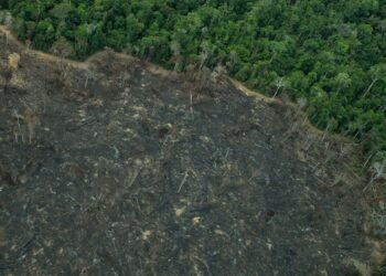 Terra Indígena Karipuna de Rondônia tem cenário de incêndio e seca