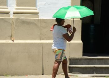 Defesa Civil renova alerta de risco elevado para incêndios em S.Paulo