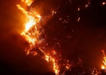 Polícia do Rio identifica 34 autores de incêndios florestais