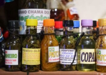 G20 aprova declaração que fixa 10 princípios sobre bioeconomia