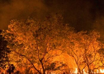 MPF abriu mais de 190 investigações sobre queimadas em um ano