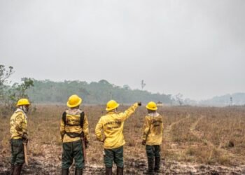 Dino estabelece orçamento de emergência para combate a incêndios