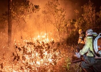 Monitoramento mostra que 99% dos incêndios são por ação humana