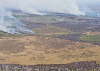 Emissão de gases por incêndios é recorde em dois estados