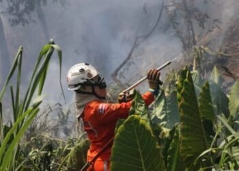 Bombeiros reforçam combate e debelam centenas de incêndios florestais na Bahia