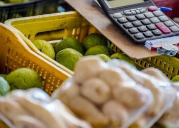 Mudanças climáticas podem aumentar preços de alimentos ainda em 2024