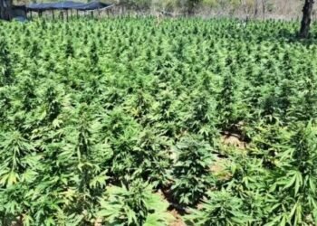 Polícia baiana desmonta laboratório de produção de drogas