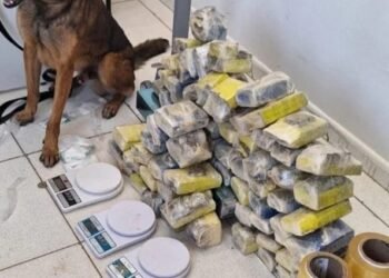 Polícia baiana cumpre 11 mandados de prisão temporária contra facção criminosa