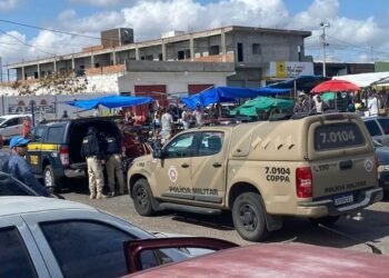 Operação prende 9 pessoas e desarticula venda ilegal de animais silvestres na Bahia