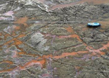 Lagos na Amazônia registram maior média de temperatura para agosto