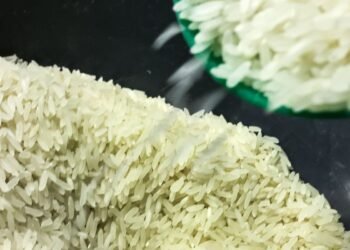 Conab vai doar sementes de arroz para agricultores familiares do RS