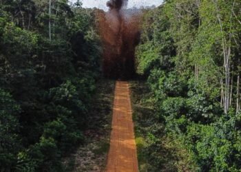 Governo destrói pista de pouso clandestina na Terra Yanomami