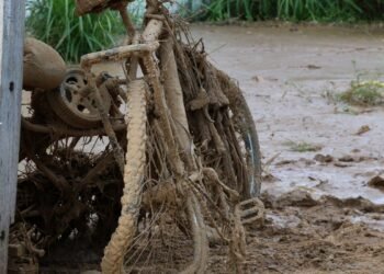 Pesquisadores criam modelo que prevê deslizamentos em São Sebastião