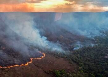 Brasil concentra 76% dos incêndios na América do Sul