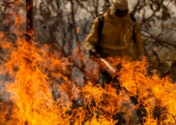 Entenda as linhas de investigação dos incêndios florestais no país