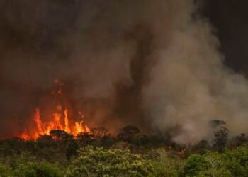 Incêndios podem ter afetado mais de 11 milhões de pessoas no Brasil