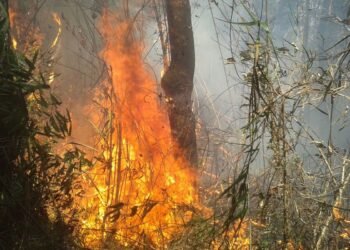 Rio: Justiça transforma em preventiva prisão de acusado de incêndio