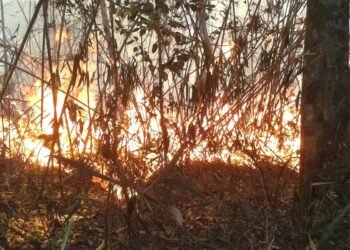Polícia do Rio realiza operações contra suspeitos de causar incêndios